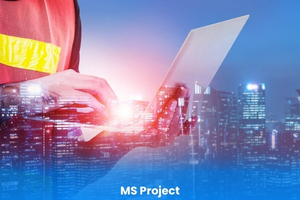 MS Project Course