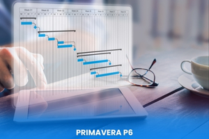 PRIMAVERA Course
