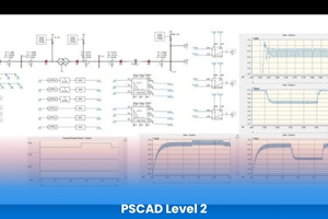 PSCAD Level 2 Course