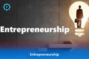 Entrepreneurship
