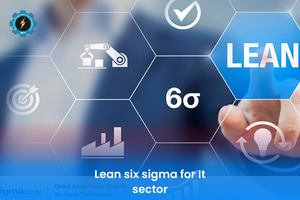 Lean six sigma for It sector