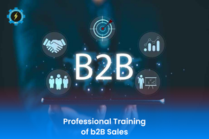 Professional Training of b2B Sales